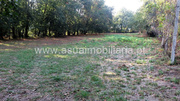 Terreno R�stico - Go�es, Amares, Braga - Miniatura: 2/6