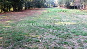 Terreno R�stico - Go�es, Amares, Braga - Miniatura: 3/6