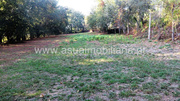 Terreno R�stico - Go�es, Amares, Braga - Miniatura: 4/6