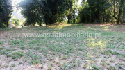 Terreno R�stico - Go�es, Amares, Braga - Miniatura: 5/6