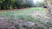Terreno R�stico - Go�es, Amares, Braga - Miniatura: 6/6