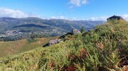 Terreno R�stico - Caldelas, Amares, Braga - Miniatura: 4/9
