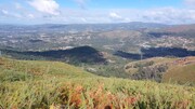 Terreno R�stico - Caldelas, Amares, Braga - Miniatura: 6/9