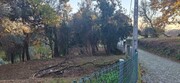 Terreno R�stico - Vilela, Amares, Braga - Miniatura: 1/9