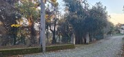 Terreno R�stico - Vilela, Amares, Braga - Miniatura: 4/9