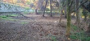 Terreno R�stico - Vilela, Amares, Braga - Miniatura: 6/9