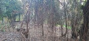 Terreno R�stico - Vilela, Amares, Braga - Miniatura: 8/9