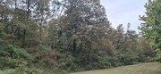 Terreno R�stico - Torre, Amares, Braga - Miniatura: 1/9