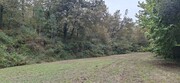 Terreno R�stico - Torre, Amares, Braga - Miniatura: 3/9
