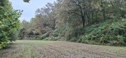 Terreno R�stico - Torre, Amares, Braga - Miniatura: 4/9