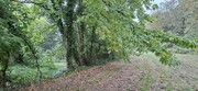 Terreno R�stico - Torre, Amares, Braga - Miniatura: 6/9