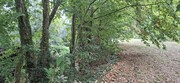 Terreno R�stico - Torre, Amares, Braga - Miniatura: 9/9