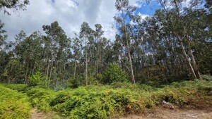 Terreno R�stico - Mosteiro, Vieira do Minho, Braga