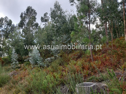 Terreno R�stico - Caldelas, Amares, Braga