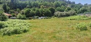 Terreno R�stico - Mosteiro, Vieira do Minho, Braga
