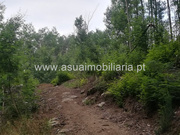 Terreno Rstico - Ferreiros, Amares, Braga - Miniatura: 2/4