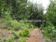 Terreno Rstico - Ferreiros, Amares, Braga - Miniatura: 4/4