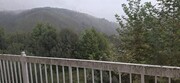 Loja - Moimenta (Santo Andr), Terras de Bouro, Braga - Miniatura: 5/9
