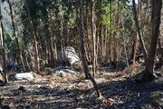Terreno R�stico - Rio Caldo, Terras de Bouro, Braga - Miniatura: 1/9