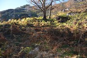 Terreno R�stico - Rio Caldo, Terras de Bouro, Braga - Miniatura: 3/9