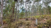 Terreno R�stico - Mosteiro, Vieira do Minho, Braga - Miniatura: 8/9