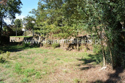 Terreno R�stico - Fiscal, Amares, Braga - Miniatura: 2/8