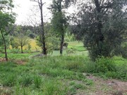 Terreno R�stico - Fiscal, Amares, Braga - Miniatura: 7/8