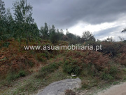 Terreno R�stico - Caldelas, Amares, Braga - Miniatura: 1/9