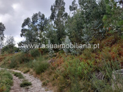 Terreno R�stico - Caldelas, Amares, Braga - Miniatura: 2/9