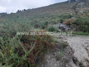 Terreno R�stico - Caldelas, Amares, Braga - Miniatura: 4/9