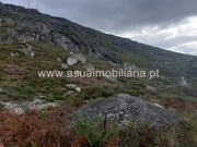 Terreno R�stico - Caldelas, Amares, Braga - Miniatura: 5/9