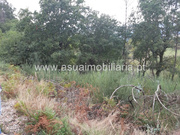 Terreno R�stico - Caldelas, Amares, Braga - Miniatura: 7/9