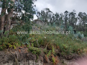 Terreno R�stico - Caldelas, Amares, Braga - Miniatura: 8/9