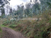 Terreno R�stico - Caldelas, Amares, Braga - Miniatura: 9/9