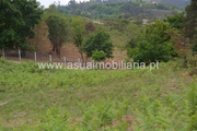 Terreno R�stico - Tabua�as, Vieira do Minho, Braga - Miniatura: 3/6