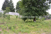 Terreno R�stico - Tabua�as, Vieira do Minho, Braga - Miniatura: 5/6