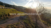 Terreno R�stico - Cani�ada, Vieira do Minho, Braga - Miniatura: 3/9
