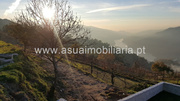 Terreno R�stico - Cani�ada, Vieira do Minho, Braga - Miniatura: 4/9