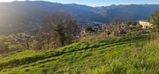 Terreno R�stico - Cani�ada, Vieira do Minho, Braga - Miniatura: 7/9
