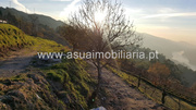 Terreno R�stico - Cani�ada, Vieira do Minho, Braga - Miniatura: 9/9