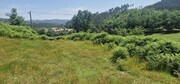 Terreno R�stico - Mosteiro, Vieira do Minho, Braga - Miniatura: 1/9