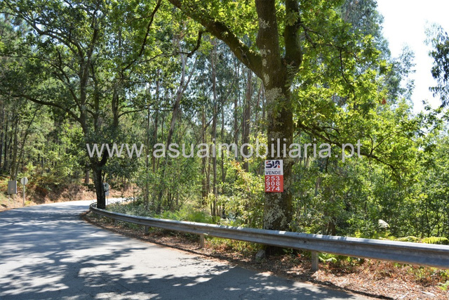 Terreno R�stico - Fiscal, Amares, Braga - Imagem grande