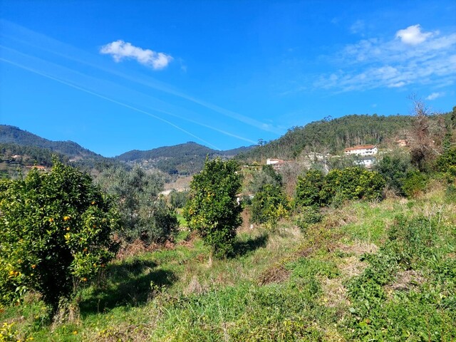 Terreno R�stico - Go�es, Amares, Braga - Imagem grande