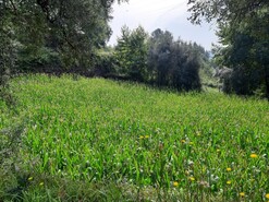 Terreno R�stico - Valdosende, Terras de Bouro, Braga