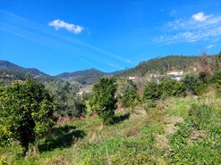 Terreno R�stico - Go�es, Amares, Braga