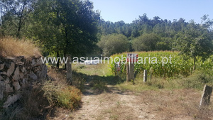 Terreno R�stico - Ferreiros, Amares, Braga