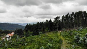 Terreno R�stico - Vieira do Minho, Vieira do Minho, Braga