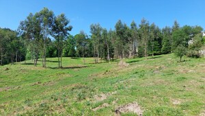 Terreno R�stico - Tabua�as, Vieira do Minho, Braga