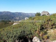 Terreno Rstico - Caldelas, Amares, Braga - Miniatura: 1/9