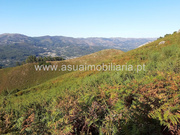 Terreno Rstico - Caldelas, Amares, Braga - Miniatura: 5/9
